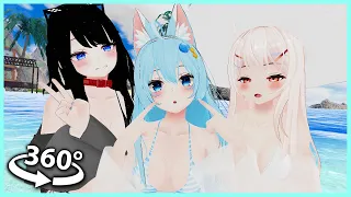 On the beach, with three lovely ladies. | 360º 4K VR