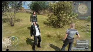 Ignis Humming