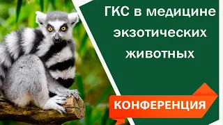 ГКС в медицине экзотических животных | Видео конференция для ветеринаров