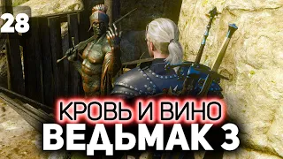 Рыцарь с дырявыми карманами ⚔️ The Witcher 3: Wild Hunt — Next-Gen Update [PC 2022] Часть 28