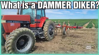 I learned what a dammer diker is! Weeks 2 and 3 as a farmer.