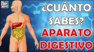 ¿Cuánto Sabes Sobre el "APARATO DIGESTIVO"? Test/Trivial/Quiz