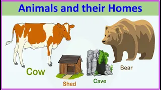 Animals and their homes |Animalshomes |#EToddlers