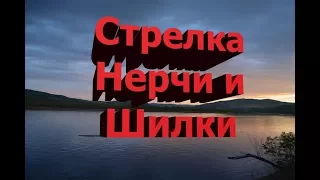 Стрелка Нерчи и Шилки