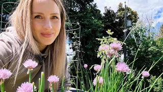 MAY Garden Tour // Simple Chive Flower Recipe