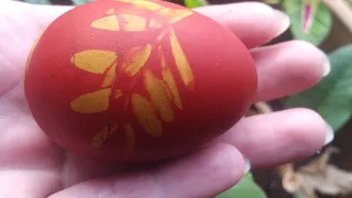 Dying Easter eggs naturally | Dying eggs with yellow onion skins | Dying eggs with purple cabbage