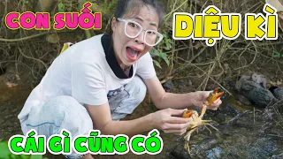 Bắt Được Đủ Thứ Hay Ho Dưới Con Suối Diệu Kì 🐠 🦀  🦐  🐸  🦑  🐙