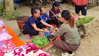 Harvesting Wild Rat & Forest Tubers, Vegetable Goes to the market sell | Ly Thi Tam