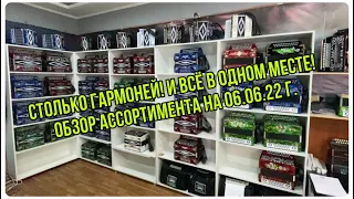 Столько гармоней! И всё в одном месте! Обзор ассортимента на 06.06.22 г.