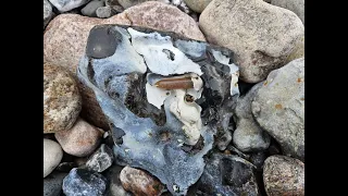 Fossilien der Ostsee (7) Strand der Riesen!