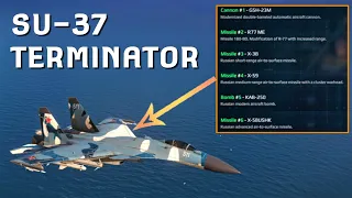SU-37 TERMINATOR COMBO DAMAGE TEST || MODERN WARSHIPS ALPHA SERVER