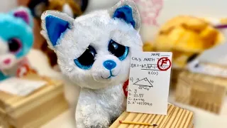 Beanie Boos: THE MATH TEST (skit)