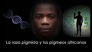 Raza pígmida y los pueblos pigmeos