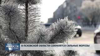 Новости Псков 22.01.2019 / Морозы продолжают сковывать область