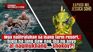 Mga nalitratuhan sa isang farm resort, bigla raw nagmukhang shokoy?! | Kapuso Mo, Jessica Soho