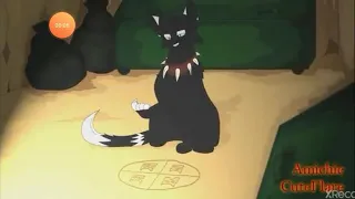 Beliver warrior Cats AMV