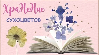 СУХОЦВЕТЫ || Как хранить сухоцветы? ❀❀❀ How to store the dried flowers?