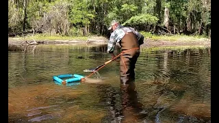 How to Not Get Eaten by Alligators | Fossil Hunting the Peace River.