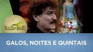 Galos, noites e quintais | Belchior