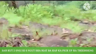 2 SNGI SAHKUT KI 6 NGUT BAD KHYLLUNG 2 SNEM SHA RIAT BA HAP KA PICK-UP NA MAWSYNRAM SHA THIEDDING