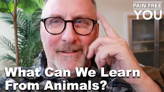 What Can We Learn From Animals?
