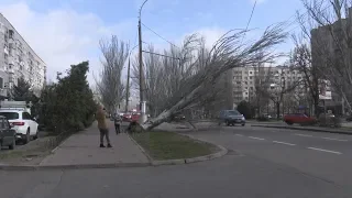 Объектив 24 02 20 Непогода в Николаеве