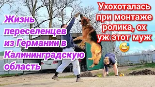 Работа кипит! Сфокусировалась на травке/ Ни в сказке сказать, ни пером написать/ К нам пришла весна