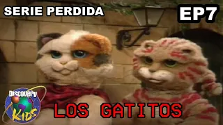 SERIE OLVIDADA o PERDIDA de DISCOVERY KIDS: LOS GATITOS (Pacha y los gatos)