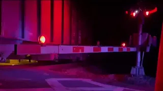 Pedestrian struck, killed by freight train in Marion County