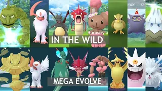 Catching shiny in the wild and mega evolved them feat. Mega Steelix, Absol and more