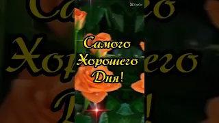 С добрым утром! Завораживающая музыка Сергея Чекалина! @music_for_the_soul