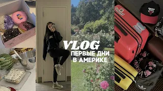 US VLOG || мой переезд в США и адаптация