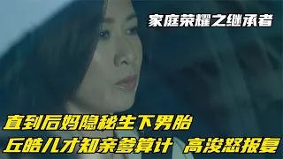 家庭荣耀继承者：直到后妈隐秘生下男胎丘皓儿才知亲爹算计高浚怒报复