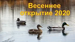 Весеннее открытие 2020 года