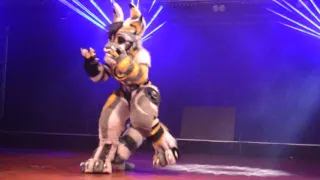 Confuzzled 2016 Dance Competition - Beauty of the Bass