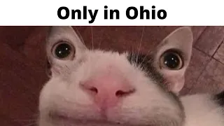 "Never go to Ohio"