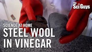 Steel Wool in Vinegar - The Sci Guys: Science at Home