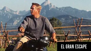 🎦250 PRISIONEROS BUSCARAN ESCAPAR DE UN CAMPO ALEMAN | EL GRAN ESCAPE(1963) | RESUMEN🎦