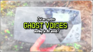 Short Roberts Radio Ghost Box Segment | Did we capture Spirit Voices in Bakers Park, Newton Abbot?