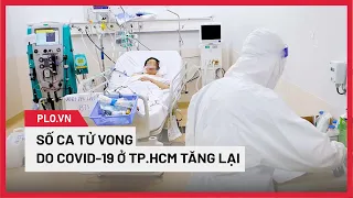 Số ca F0, tử vong tăng lại, TP.HCM củng cố hệ thống “đánh chặn” - PLO