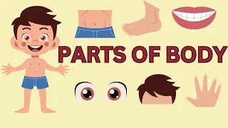 Parts of Body | Learn the Body Parts | Educational video