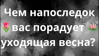 ЧЕМ НАПОСЛЕДОК ПОРАДУЕТ ВАС УХОДЯЩАЯ ВЕСНА?🌷🪷💐