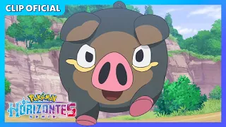 ¡Lechonk vs. Sprigatito! | Serie Horizontes Pokémon | Clip oficial