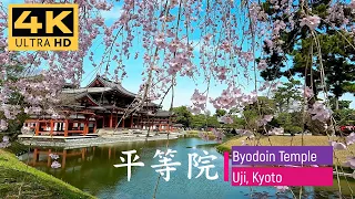 Byodoin Temple Kyoto | 平等院鳳凰堂 | Japan Temple【4K】