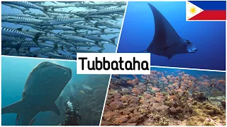 Tubbataha, Philippines 2023 (4K) | Diving