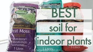 Best soil for indoor plants: Creating a potting mix houseplants will love!