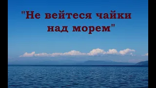 Поют семейские Забайкалья, ансамбль "Судьбинушка".