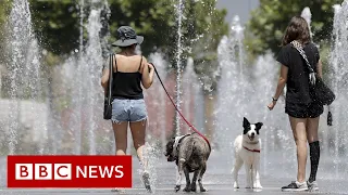 Spain heatwave brings record temperatures - BBC News