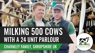 Milking 500 Cows with a 24 Unit Palour - Charmley Family