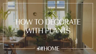 Decorate with plants: 4 indoor gardening ideas